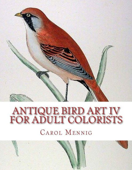 Antique Bird Art Iv - For Adult Colorists