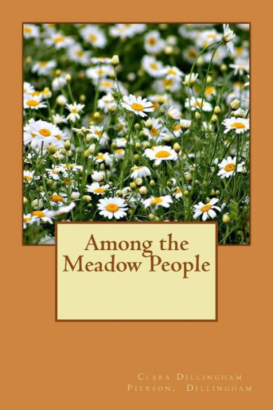 Among The Meadow People - 9781539695547