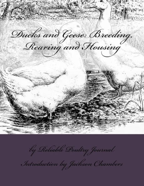 Ducks And Geese: Breeding, Rearing And Housing