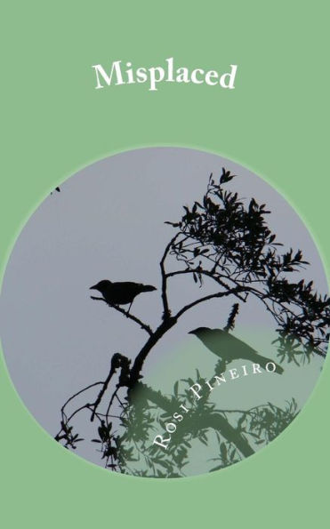 Misplaced - 9781539725053