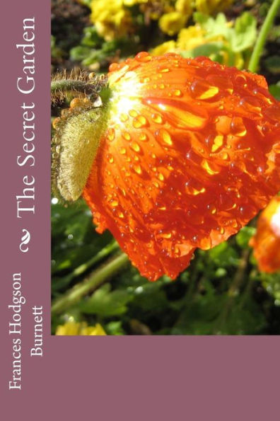 The Secret Garden - 9781539794066