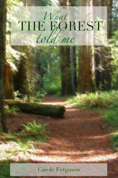 What The Forest Told Me