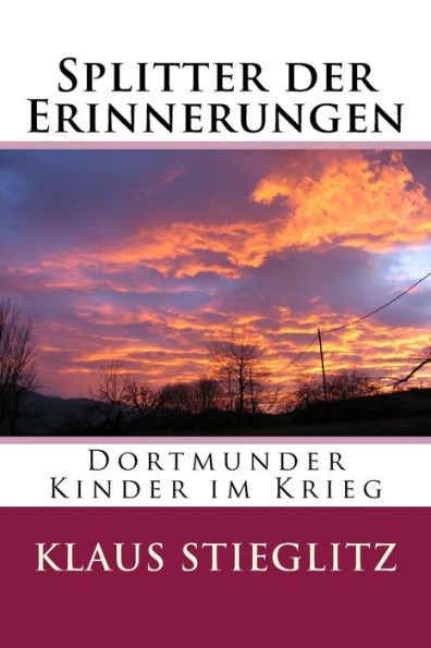 Splitter Der Erinnerungen: Dortmunder Kinder Im Krieg (German Edition)