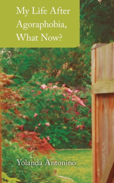 My Life After Agoraphobia, What Now?