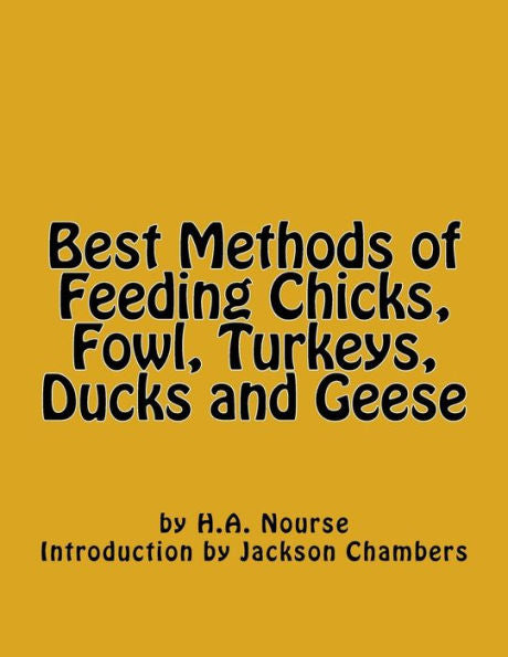 Best Methods Of Feeding Chicks, Fowl, Turkeys, Ducks And Geese