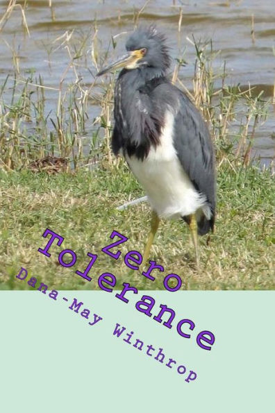 Zero Tolerance - 9781540487674