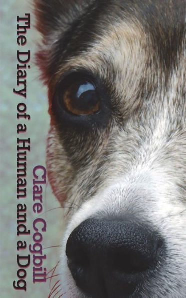The Diary Of A Human And A Dog (Or Three)