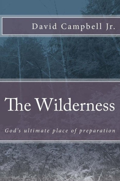 The Wilderness: God's Ultimate Place Of Preparation