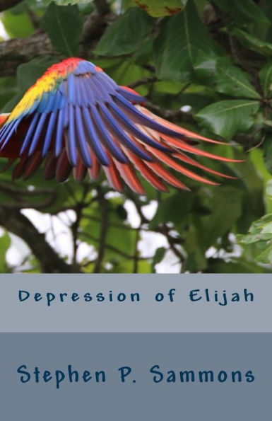 Depression Of Elijah: On Depression And Renewal In Christian Service