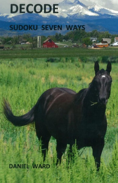Decode Sudoku Seven Ways
