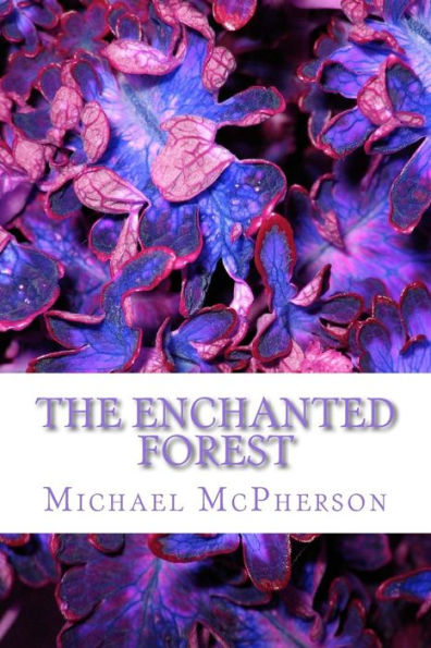The Enchanted Forest (The City Of H?p?ng)