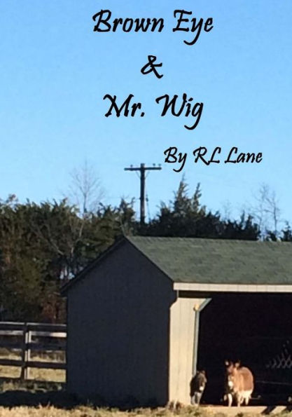 Brown Eye & Mr. Wig
