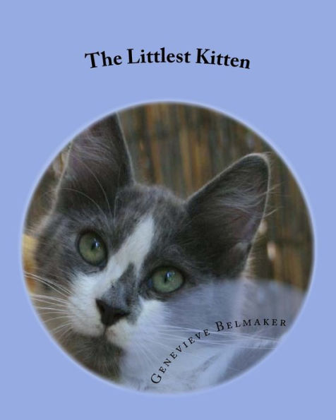 The Littlest Kitten: The True Story Of One Jerusalem Kitten's Struggle To Survive