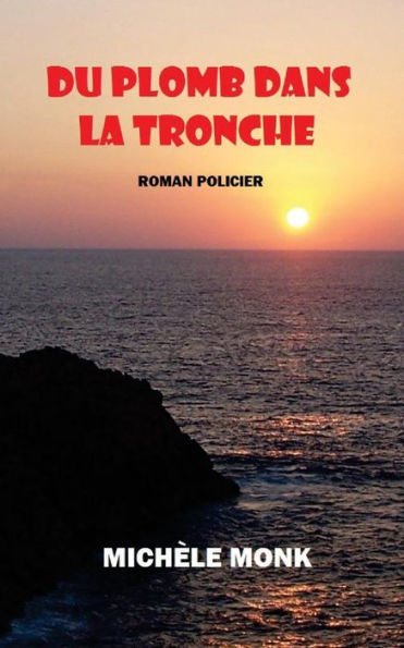 Du Plomb Dans La Tronche (French Edition)