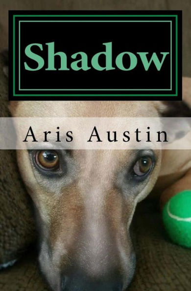 Shadow - 9781540774941