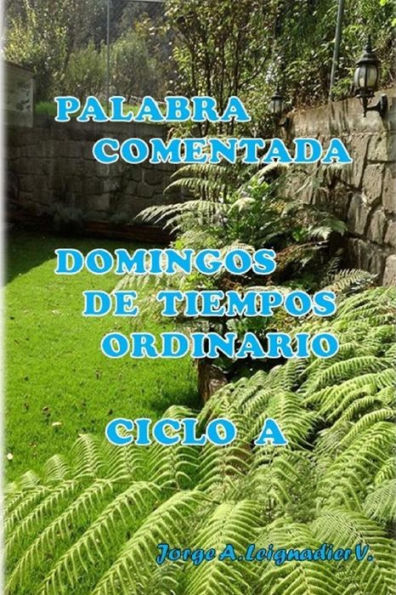 Palabra Comentada Domingos De Tiempo Ordinario Ciclo A (Spanish Edition)
