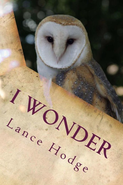 I Wonder - 9781540841742