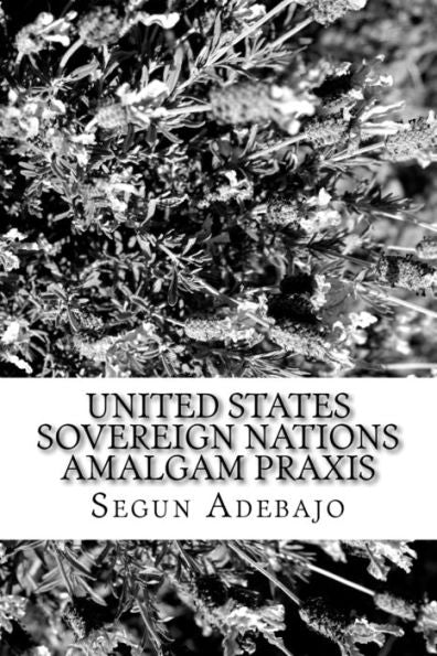 United States Sovereign Nations Amalgam Praxis: The Great American Dreams