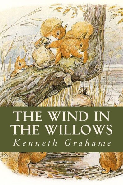 The Wind In The Willows - 9781541017689