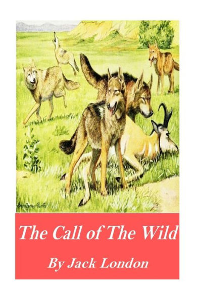 The Call Of The Wild - 9781541056459