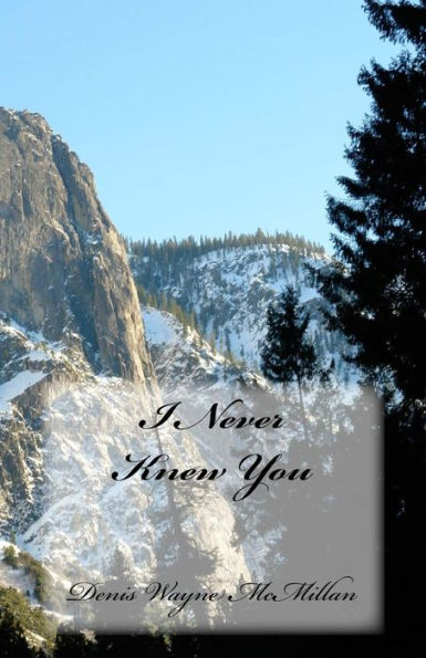 I Never Knew You - 9781541090965