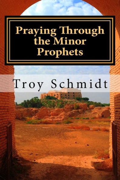 Praying Through The Minor Prophets (Praying Through The Bible Series)