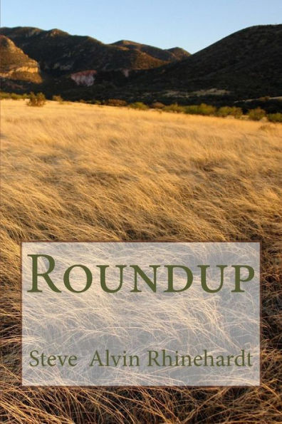 Roundup (Volume 1)