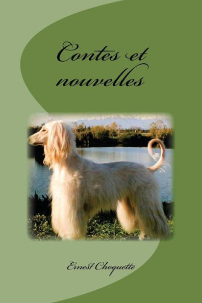 Contes Et Nouvelles (French Edition) - 9781541180567