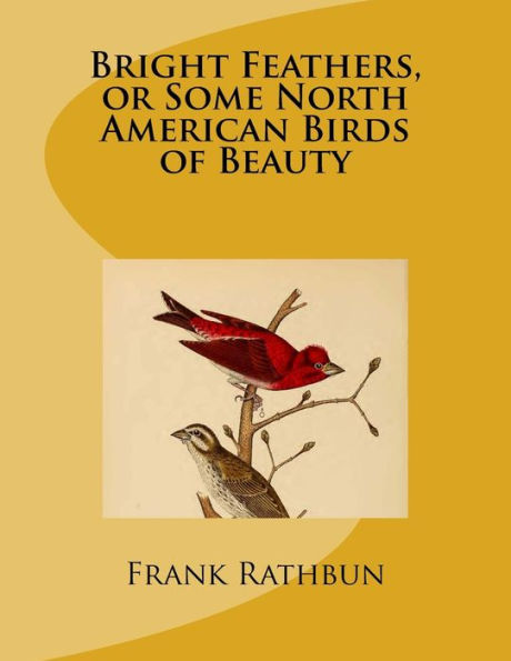 Bright Feathers, Or Some North American Birds Of Beauty