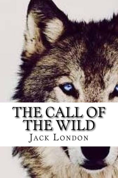 The Call Of The Wild - 9781541225862
