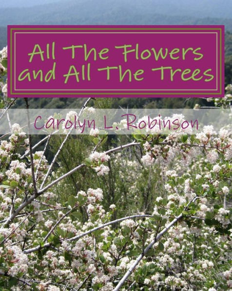 All The Flowers And All The Trees: A U Draw It Book