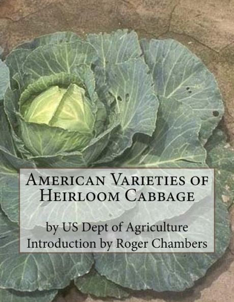 American Varieties Of Heirloom Cabbage
