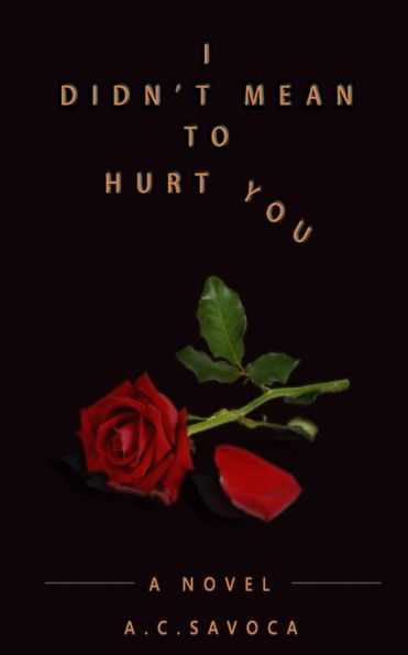 I Didn't Mean To Hurt You