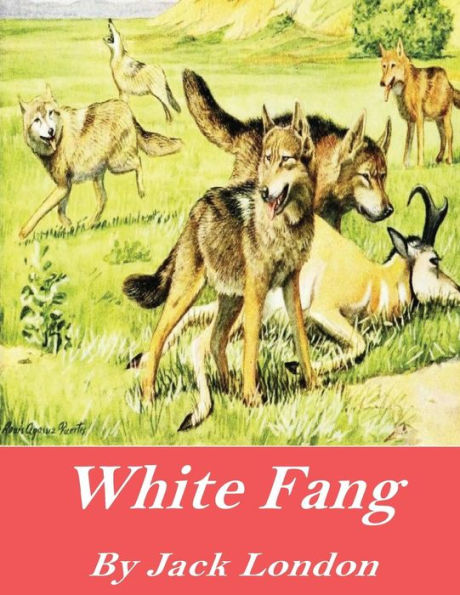 White Fang - 9781541376281