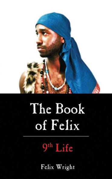 The Book Of Felix: 9Th Life