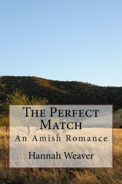 The Perfect Match: An Amish Romance