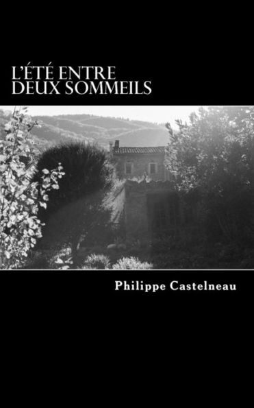 L'Été Entre Deux Sommeils: 253 Haïkus Sans Rime Ni Raison (French Edition)