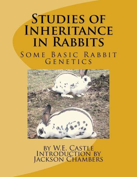 Studies Of Inheritance In Rabbits: Some Basic Rabbit Genetics