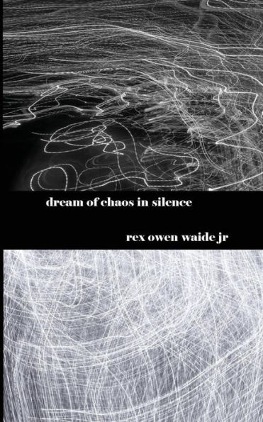 Dream Of Chaos In Silence