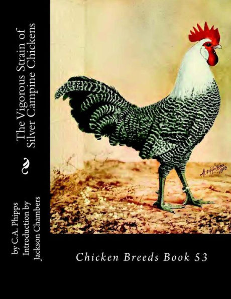 The Vigorous Strain Of Silver Campine Chickens: Chicken Breeds Book 53