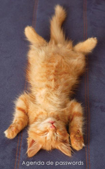 Agenda De Passwords: Agenda Para Enderecos Electr?nicos E Passwords - Capa Gatinho Ruivo A Relaxar (Agendas Com Gatos) (Portuguese Edition)