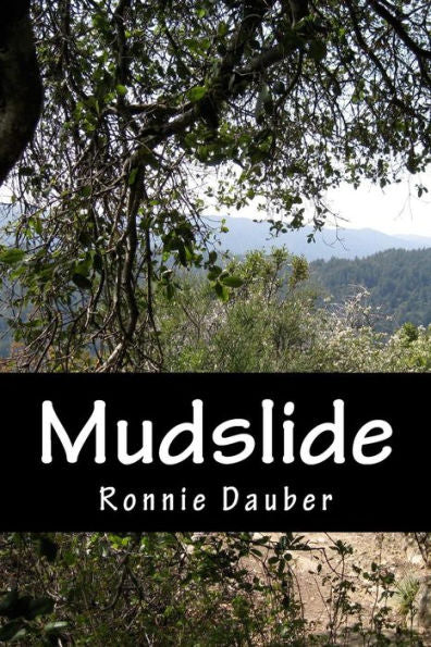 Mudslide (Sarah Davies)