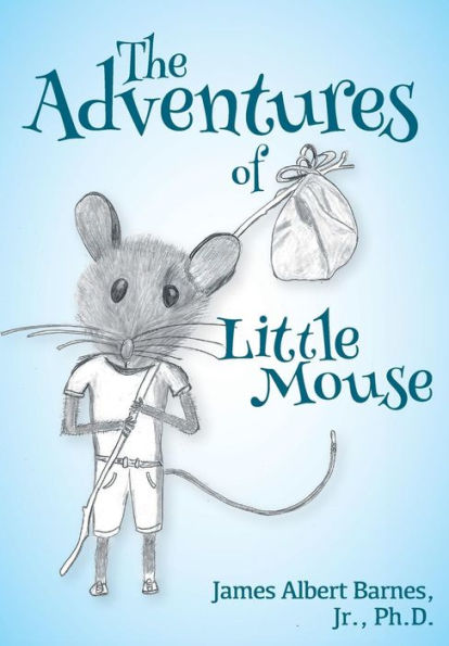 The Adventures Of Little Mouse
