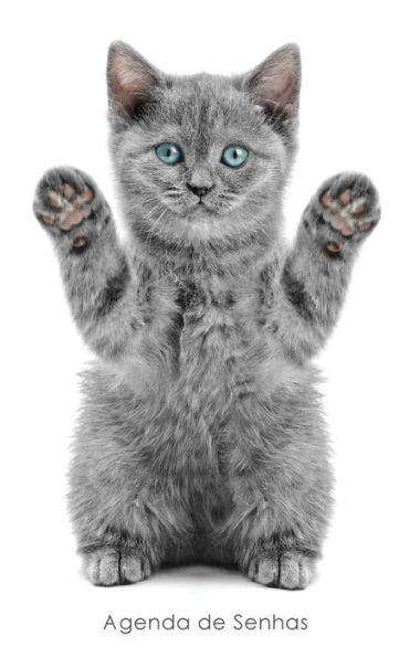 Agenda De Senhas: Agenda Para Enderecos Eletr?nicos E Senhas: Capa Gatinho Brincalhao - Portugu?s (Brasil) (Agendas Com Gatos) (Portuguese Edition)