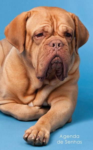 Agenda De Senhas: Agenda Para Enderecos Eletr?nicos E Senhas: Capa French Mastiff - Portugu?s (Brasil) (Agendas Com Caes) (Portuguese Edition)