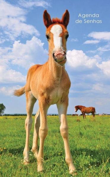Agenda De Senhas: Agenda Para Enderecos Eletr?nicos E Senhas: Capa Potro Bonito - Portugu?s (Brasil) (Agendas Com Cavalos) (Portuguese Edition)
