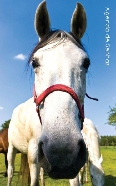 Agenda De Senhas: Agenda Para Enderecos Eletr?nicos E Senhas: Capa Cavalo Curioso - Portugu?s (Brasil) (Agendas Com Cavalos) (Portuguese Edition)