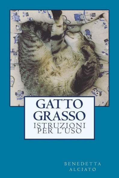 Gatto Grasso: Istruzioni Per L'Uso (Italian Edition) - 9781542927741