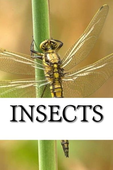Insects - 9781542938242
