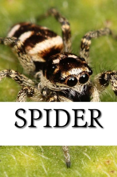 Spider (Spiders) - 9781542938358